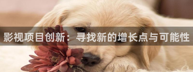 搜索历史汤姆影院